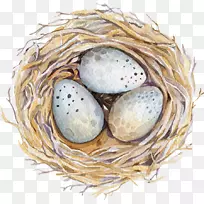 水彩画,绘画,摄影,插图-巢-空若网 水彩画,绘画,摄影,插图-巢-空若网