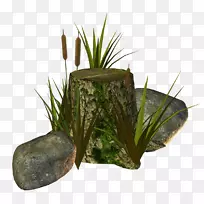 ����ݿ�ˮ���-������