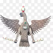 羽毛喙-羽毛-空若网 羽毛喙-羽毛-空若网