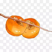 柿子-两个柿子-空若网 柿子-两个柿子-空若网