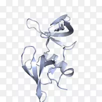 有机体设计-空若网 有机体设计-空若网