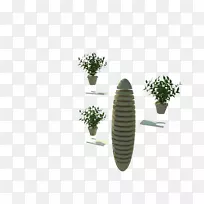 ������ֲ��-��-������