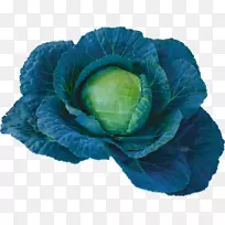 甘蓝春绿蓝菜-空若网 甘蓝春绿蓝菜-空若网