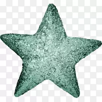 海星-海星-空若网 海星-海星-空若网