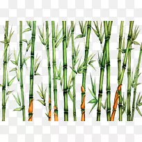 竹子下载-竹子-空若网 竹子下载-竹子-空若网