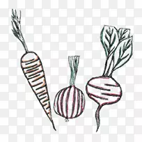 卡萨卡诺农场开花植物-农场草-空若网 卡萨卡诺农场开花植物-农场草-空若网