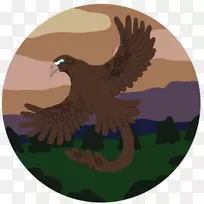 鹰嘴羽毛鹰-空若网 鹰嘴羽毛鹰-空若网