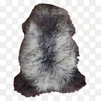 ëƤ±Ç-¿ÕÈôÍø ëƤ±Ç-¿ÕÈôÍø