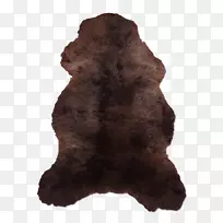 毛皮鼻-空若网 毛皮鼻-空若网