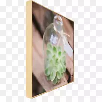 ����-������