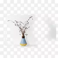 ��ƿ���ϱ���ƿ-������