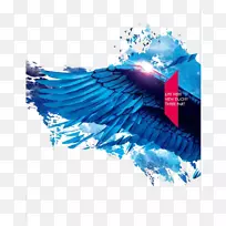 蓝翅膀-空若网 蓝翅膀-空若网