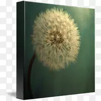 �ѹ�Ӣ������Ӱ��Ȼ��Ӱ�ѹ�Ӣ-������