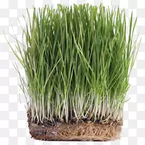 ��������ݱ���С��������-������