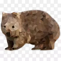 肉食木/m/083 vt鼻子-木材-空若网 肉食木/m/083 vt鼻子-木材-空若网