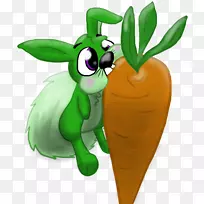 ��ͨ����ֲ��ˮ���߲�-������