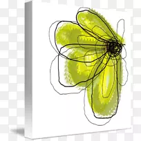 ����չ���������-������