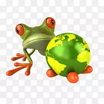 青蛙去威尼斯旅游了-青蛙PNG-空若网 青蛙去威尼斯旅游了-青蛙PNG-空若网