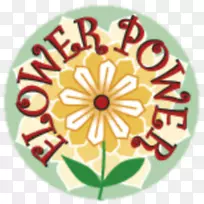 花瓣切花设计.设计-空若网 花瓣切花设计.设计-空若网