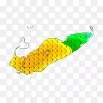玉米地昆虫-空若网 玉米地昆虫-空若网