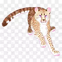 豹大猫猎豹陆生动物豹-空若网 豹大猫猎豹陆生动物豹-空若网