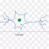 ������������-������