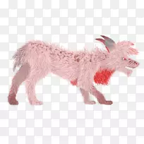 犬科狗,毛皮,鼻子,-狗-空若网 犬科狗,毛皮,鼻子,-狗-空若网