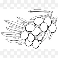 葡萄对称线艺术剪贴画.葡萄-空若网 葡萄对称线艺术剪贴画.葡萄-空若网