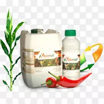 �л�ʳƷӪ�������л���-������