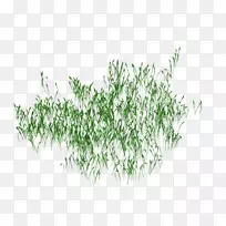 ÂÌɫ͸Ã÷°ë͸Ã÷Â̲Ý-¿ÕÈôÍø ÂÌɫ͸Ã÷°ë͸Ã÷Â̲Ý-¿ÕÈôÍø