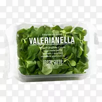 莴苣,春青,菠菜,罗勒叶蔬菜-缬草-空若网 莴苣,春青,菠菜,罗勒叶蔬菜-缬草-空若网