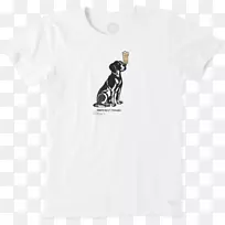 t���侱����t��-������