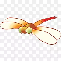 С���������.�ֻ�����-������