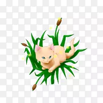 ����è����ֲ�������-è-������