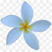 抓住它即时消息android google玩xmpp-android-空若网 抓住它即时消息android google玩xmpp-android-空若网