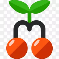可伸缩图形图标-樱桃-空若网 可伸缩图形图标-樱桃-空若网