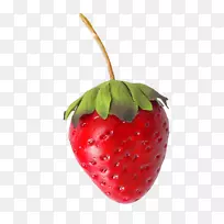 ��ݮ����-���ݮ-������