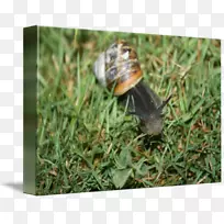 ÎÏÅ£-¿ÕÈôÍø ÎÏÅ£-¿ÕÈôÍø