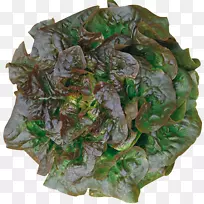 叶蔬菜种子生菜有机食品蔬菜-空若网 叶蔬菜种子生菜有机食品蔬菜-空若网