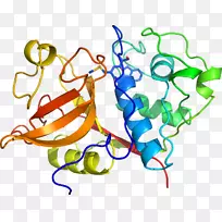 �ߵ������������-������