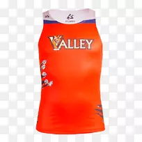 t�����ƽ������������������£�t��-������