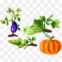南瓜葫芦茄子植物剪贴画南瓜茄子-空若网 南瓜葫芦茄子植物剪贴画南瓜茄子-空若网