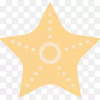 海星区-海星-空若网 海星区-海星-空若网