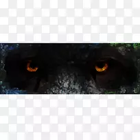 狗鼻子特写黑豹狗-空若网 狗鼻子特写黑豹狗-空若网