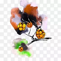 昆虫-空若网 昆虫-空若网