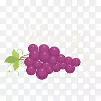 ÆÏÌѱêÖ¾°Â¸ñÀï˹-²Ëµ¥Í¼±ê-¿ÕÈôÍø ÆÏÌѱêÖ¾°Â¸ñÀï˹-²Ëµ¥Í¼±ê-¿ÕÈôÍø