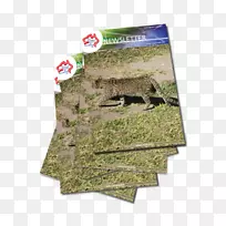 澳大利亚5月0日刊-寄生虫-空若网 澳大利亚5月0日刊-寄生虫-空若网