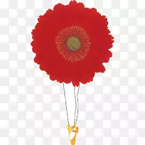 红色花束摄影.彩绘芭蕾-空若网 红色花束摄影.彩绘芭蕾-空若网