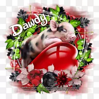 圣诞装饰品小狗鼻子-猪的爱-空若网 圣诞装饰品小狗鼻子-猪的爱-空若网