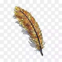 珠宝胸针宝石首饰设计师.羽毛首饰-空若网 珠宝胸针宝石首饰设计师.羽毛首饰-空若网